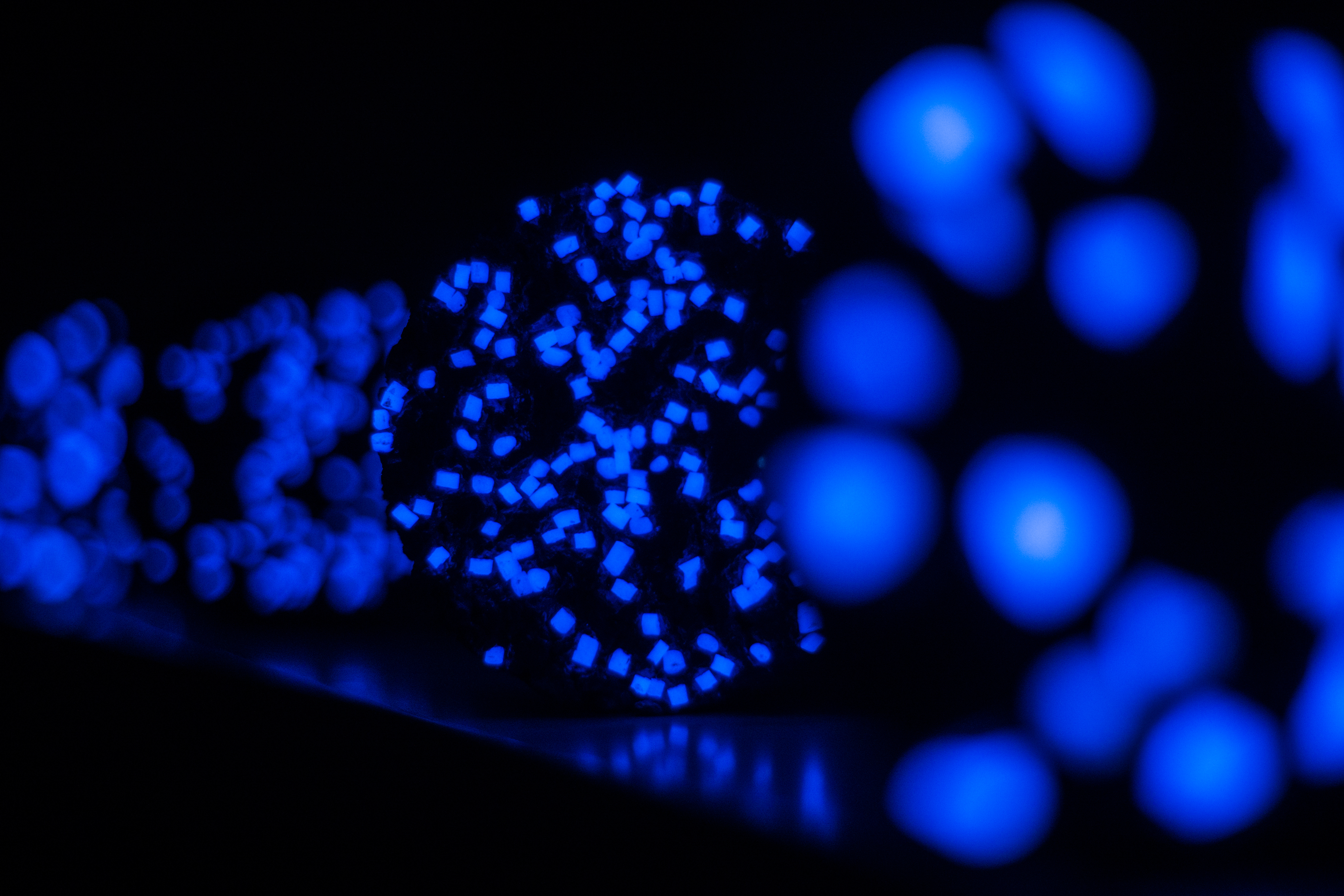 Niebieskie luminofory użyte do pokrycia ścieżki pod Lidzbarkiem Warmińskim